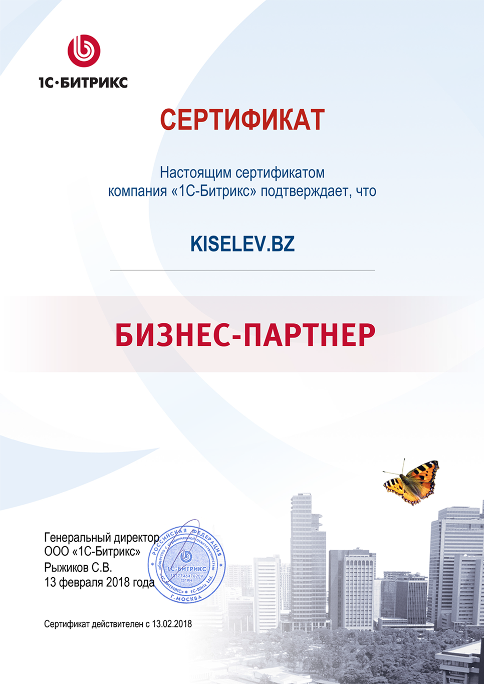Сертификат партнёра по СРМ системам в Питкяранте